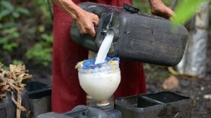 नरिवलको रक्सी खाँदा ८ को मृत्युु , सयौं अस्पताल भर्ना