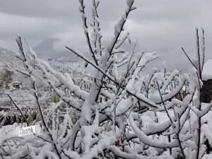 हुम्लामा फेरि हिमपात, हवाई सेवा अवरुद्ध, जनजीवन प्रभावित