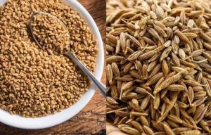 प्याजको विकल्पमा मेथी र जिरा
