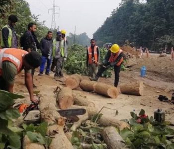 नारायणगढ-बुटवल सडक खण्ड बिस्तार: ४६ हजार रुख काटिदै