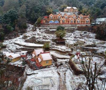 दामनमा दुई भारतीय परिवारका ८ जनाको मृत्यु (मृतकको नामावलीसहित)