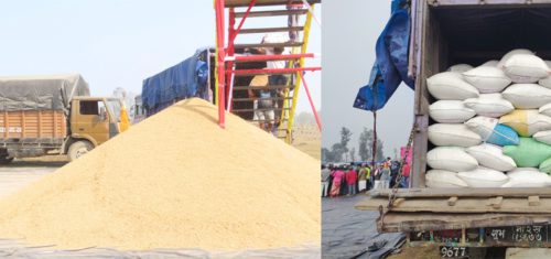 रंगशालामा महायज्ञः उद्घाटनको दिनमै उठ्यो साढे ६ ट्रक धान