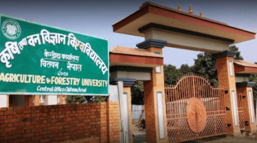कृषि विश्वविद्यालयले तितेपाती बाट स्यानिटाईजर उत्पादन गर्यो