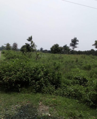 गैंडाकोटका मेयरकै नेतृत्वमा खेतान समुहको ३८ बिगाहा जग्गा कब्जा