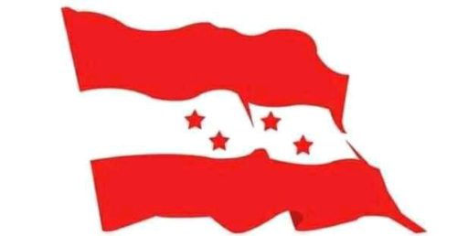 संविधान संसोधनको प्रस्तावमा मतदान गर्न काङ्ग्रेसको निर्देशन