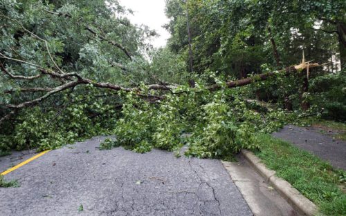 गैँडाकोटमा विद्युत अवरूद्ध