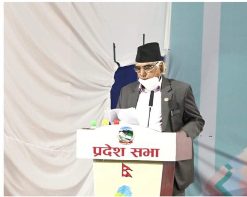 यो विषम परिस्थितिमा सरकारले अभिभावकको भुमिका निर्वाह गरोस : नेपाली