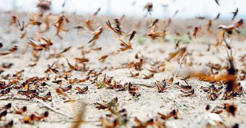 प्राविधिक समितिको निष्कर्ष : तत्कालका लागि नेपालमा सलहको जोखिम टर्‍यो !