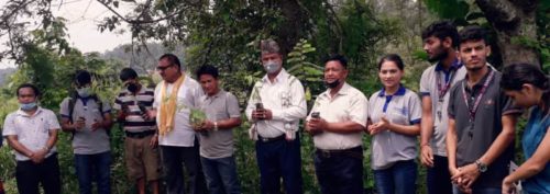 जनजागृत युवा क्लवको आयोजनामा देवचुली-९ मा वृक्षारोपण  कार्यक्रम सम्पन्न