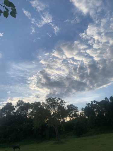 आजको मौसम : तीनवटा प्रदेशमा भारी वर्षाको सम्भावना