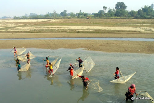 माछा नमारे बाेटेकाे जीवन चल्दैन, निकुञ्जले ‘लाइसेन्स’ दिँदैन