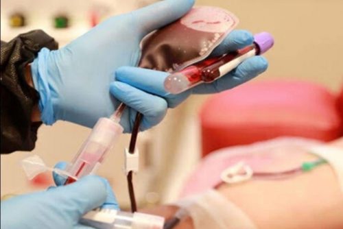 नवलपुरमा प्लाज्मा थेरापीका लागि लक्षित गर्दै रक्तदान हुने