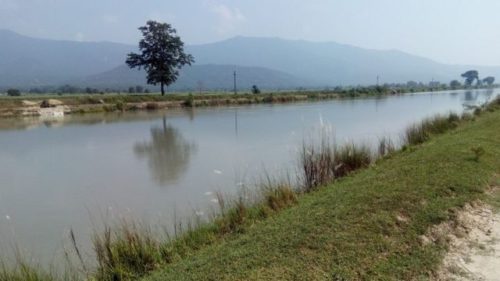 ईरिक्सा अचानक स्टार्ट हुँदा ५ वर्षीय बालक गण्डक नहरमा डुबी बेपत्ता