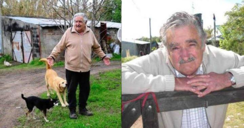 विश्वकै सबैभन्दा गरिब पूर्व राष्ट्रपति जोस, जीवनशैली अचम्मको