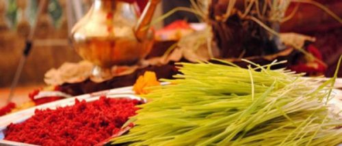 मान्यजनबाट आजपनि टिका र जमरा लगाइँदै