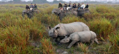 सौराहामा अपेक्षाभन्दा बढी पर्यटक