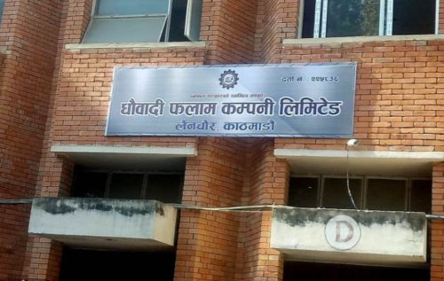 धौवादीको फलाम उच्च गुणस्तरको, सरकारले थाल्यो आवश्यक तयारी
