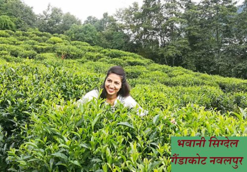 कोरोना कहर बीचको, बडा दशैँ
