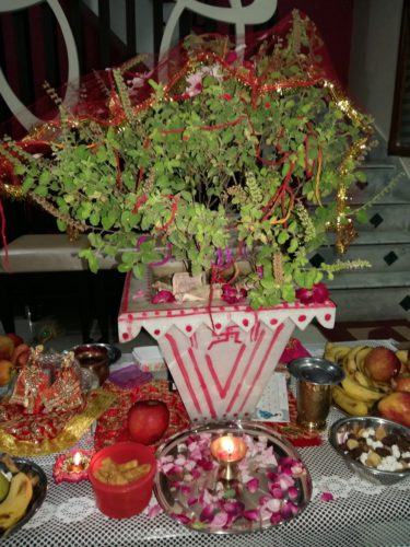 आज हरिबोधनी एकादशी : घरघरमा तुलसी विवाह गरिदै