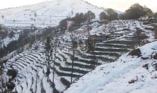 मौसम पूर्वानुमान : उच्च पहाडी र हिमाली क्षेत्रमा हिमपातको सम्भावना