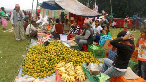 पिठौलीमा यस वर्षको एकादशी मेला नलाग्ने
