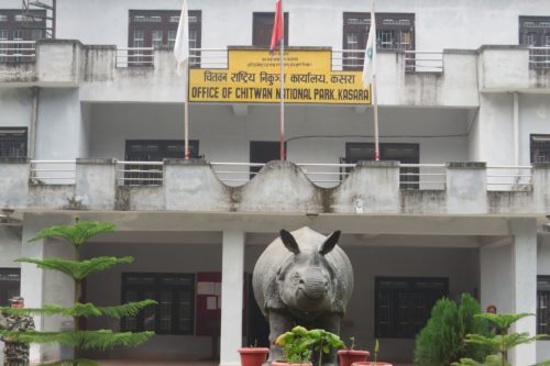 चितवन राष्ट्रिय निकुञ्जमा अवैध गतिविधि मौलाउदो, ५ महिनामा २४९ जना पक्राउ