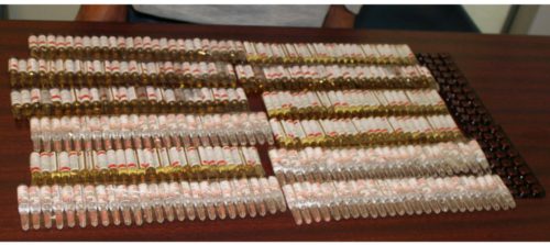 चालिसकिलोबाट  लागुऔषध सहित बर्दियाका युवक पक्राउ