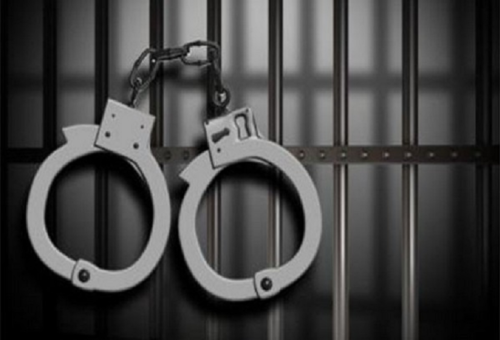 चार वर्षीया बालिकामाथि करणी गर्ने १५ वर्षे बालकलाई साढे १२ वर्ष जेल सजाय