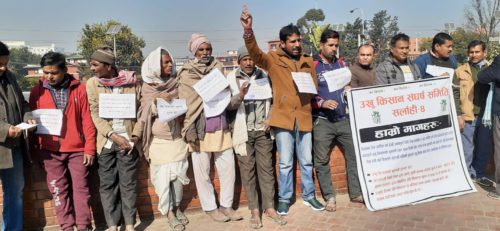 उखुको भुक्तानी नपाएपछि सर्लाहीका किसान आन्दोलन गर्न काठमाडौंमा