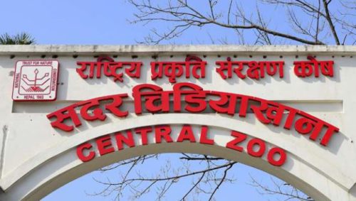 आज देखि चिडियाखाना खुला