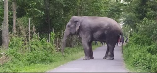 वार्डेनकै सरुवा गराईदिने “मकुना”