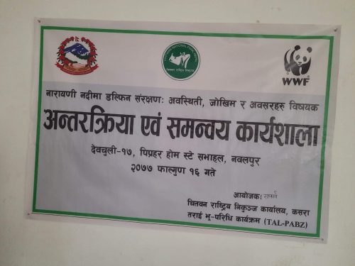 डल्फिन जाेगाउन सराेकारवाला बिच अन्तरक्रिया