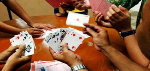 हसौरामा जुवाको खालबाट १६ जना पक्राउ