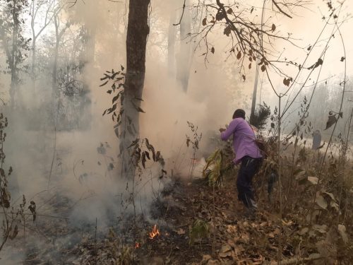 ५१ सय हेक्टर क्षेत्रफलमा फैलियो डढेलो : नियन्त्रणमा लिन कठिन