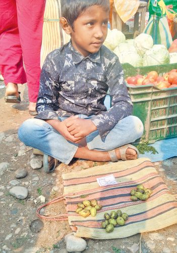 ८० रुपैयाँको हर्रो बेच्दा ९ वर्षीय बालकलाई १५ रुपैयाँ कर