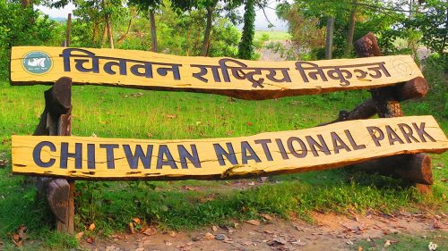 गैंडा मारेको आरोपमा थप एकजना पक्राउ