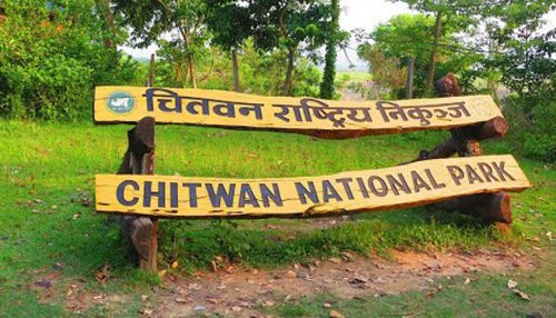 देखिन छाड्यो खुल्ला खोरमा राखिएको बाह्रसिंगे