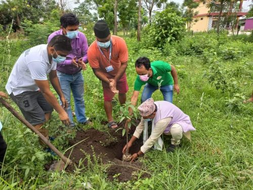 विश्व वातावरण दिवसको अवसरमा गैंडाकोट जेसीजद्वारा वृक्षारोपण