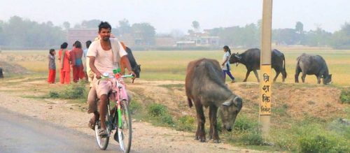 डुब्दै मधेस