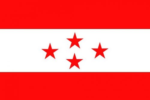 बाढी पीडित को उद्दार तथा राहत कार्यमा खट्न नवलपुर काँग्रेसको निर्देशन