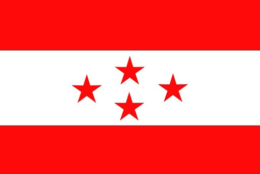 बाढी पीडित को उद्दार तथा राहत कार्यमा खट्न नवलपुर काँग्रेसको निर्देशन