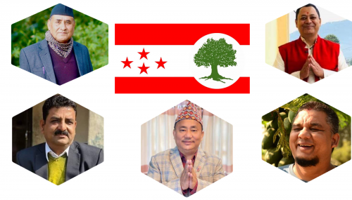 कांग्रेस महाधिवेशन : नवलपुर क्षेत्र नं १ को नेतृत्वको लागी युवा नेताहरु मैदानमा