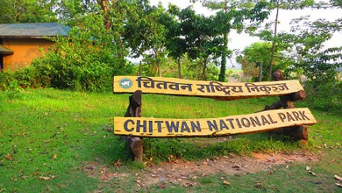 वन्यजन्तुको आक्रमणबाट १४ जनाको मृत्यु