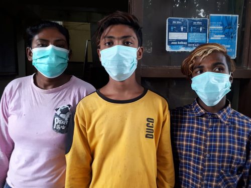 गाई काटेको आरोपमा चितवनमा तीनजना पक्राउ