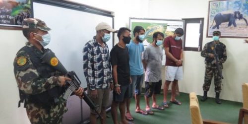 गैंडाको खाग बिक्रीवितरण गर्ने घुमुवा प्रहरी सहित ३ जना पक्राउ