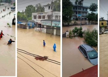 पश्चिम नवलपरासीको सात वटै स्थानीय तह जलमग्न