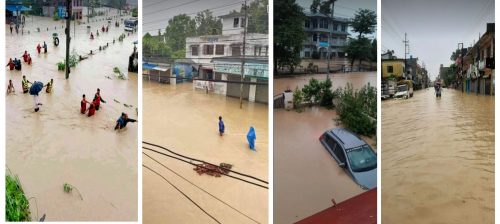 पश्चिम नवलपरासीको सात वटै स्थानीय तह जलमग्न