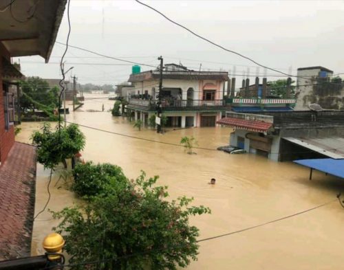 बाढीले सुनवलमा डाइभर्सन बगायो, २ सयभन्दा बढी घर डुबानमा