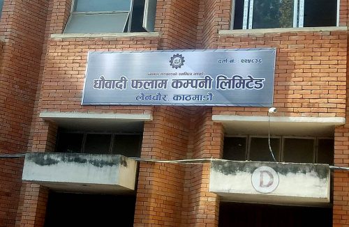 धौबादी फलाम कम्पनी लिमिटेडको डीपीआर तयार गर्न ६ कम्पनी छनोट