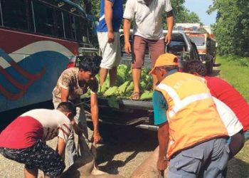 अकालमा मृत्युवरण गर्दै निकुञ्जका वन्यजन्तु